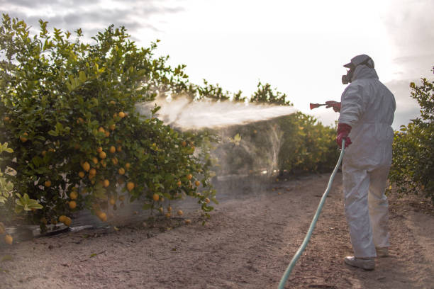 Best Pest Removal Services  in Great Falls, VA