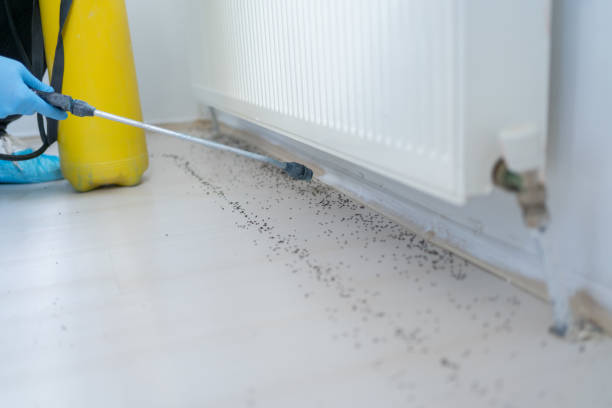 Pest Prevention Services in Great Falls, VA